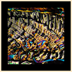 Abby Echiverri - Ubi Sunt (AD003) - CLIPS