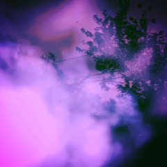High