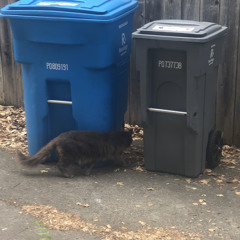 you look well - sales cover