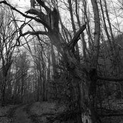 fentanyl prod. dias6k