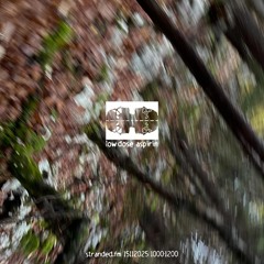 low dose aspririn | November 15th 2025 | Stranded FM