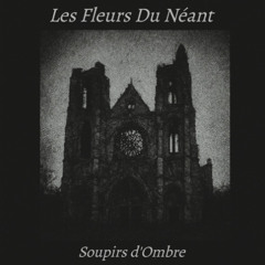 Les Fleurs Du Néant
