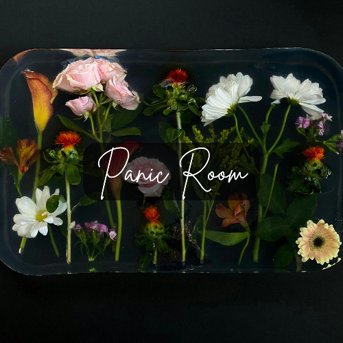 Panic Room - Daydreamers 2025