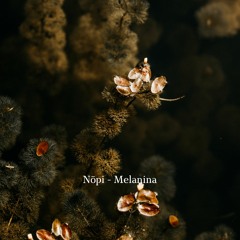 Free Download: Nōpi - Melanina [Winter solstice gift]
