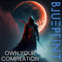 OWN YOUR COMPILATION