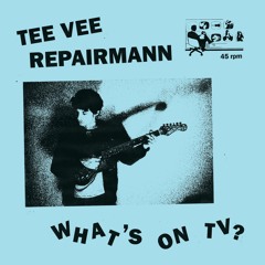 Tee Vee Repairmann - People Everywhere I Go