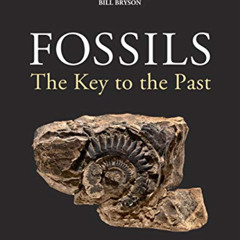 [Download] EPUB 📬 Fossils: The Key to the Past by  Richard Fortey [PDF EBOOK EPUB KI