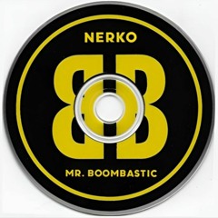 Shaggy - Mr. Boombastic (Nerko Edit)