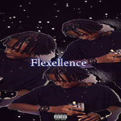 flexellence prod me
