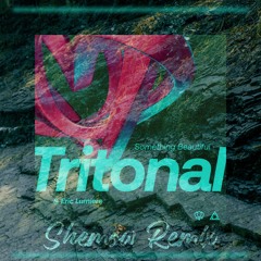 Tritonal & Eric Lumiere Something Beautiful (Shemow Remix)