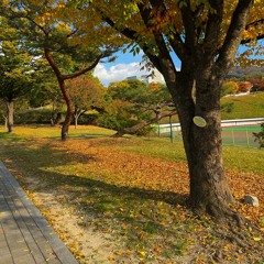 카더가든 - 밤새