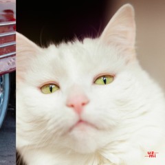 Money House Club - Aeerhh EP