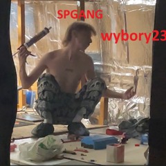 spgang "wybory23"  prod. evz x skibovicz