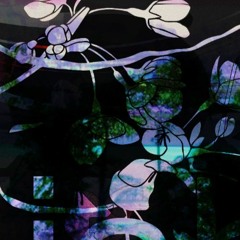 New Tricks Old Dog Prod By Xpecial K