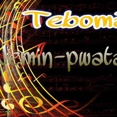 Nemin pwata