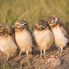 tsktsktsktskdumdumtsktsksk