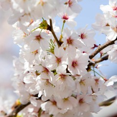 Gardensession23( SR239722 - 7)