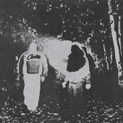 The Void (Prod.Purc)