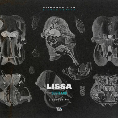 LISSA @ Disorder #093 - Scotland