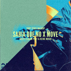 Sabía que no X Move (Toby Strix Mashup)//FREE DOWNLOAD
