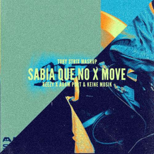 Sabía que no X Move (Toby Strix Mashup)//FREE DOWNLOAD