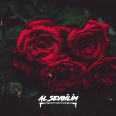 Şevval Narman - Al Sevgilim Kır Kalbimi (Emin Bilen Remix)