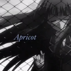 Apricot(Remake)