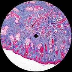 Hypnotic Techno Livestream - 06/05/2020