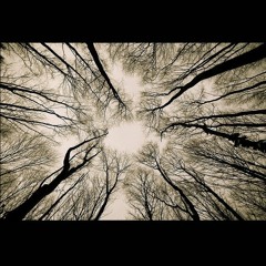 Neither Dead Nor Alive  (a duct-ape mix-tape)