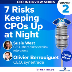 Chapter Two: 7 Risks Keeping CPOs Up at Night