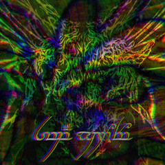 SWAMP GROOVE
