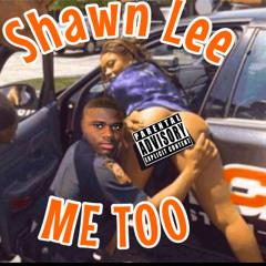 Shawn Lee - Me Too