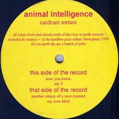 Animal Intelligence - Now You Know