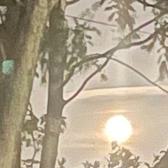 Nintendx freestyle [prod.HomeBoyJak]