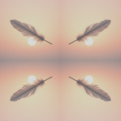 Wings of Emotion