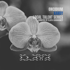 Oncidium 012 | XANDY