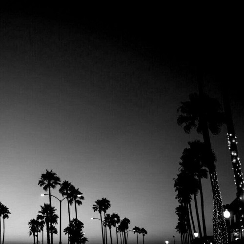 Shadow II