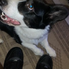 2 $TEADY - 5 RACKS (Prod. VIPER)