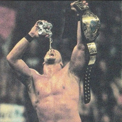 steve austin (prod. gfelds)