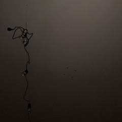 Observatorium