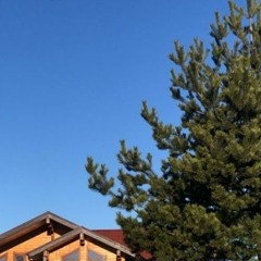 Where u going, Kcat?!