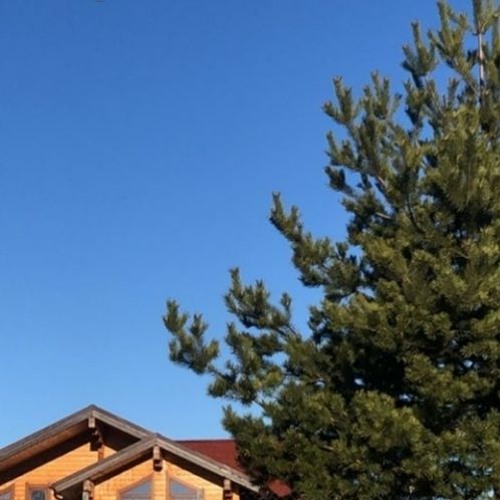 Where u going, Kcat?!