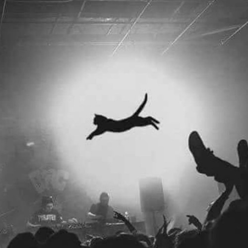 Escape the system  §Hypergroove§