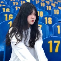 PHỤ TÌNH FT SAI LÀM CỦA ANH - VIỆT LOUIS REMIX