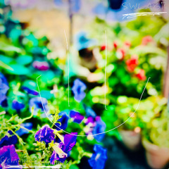 There Wasn't Much To Say On Thursday