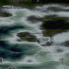 PREMIERE: wemory - Multidependance (Del Olmo Remix) [SR031]