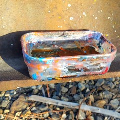 Drama: My Viscous Sister