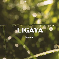 Ligaya | Gouryella (Orchestral Rework by Taemin)