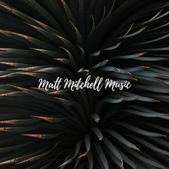 Remedy- Zac Brown Band covered by Matt Mitchell (feat. Isaac Haas)