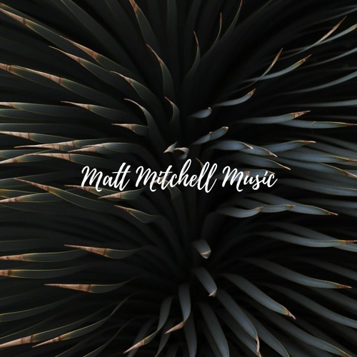 Remedy- Zac Brown Band covered by Matt Mitchell (feat. Isaac Haas)